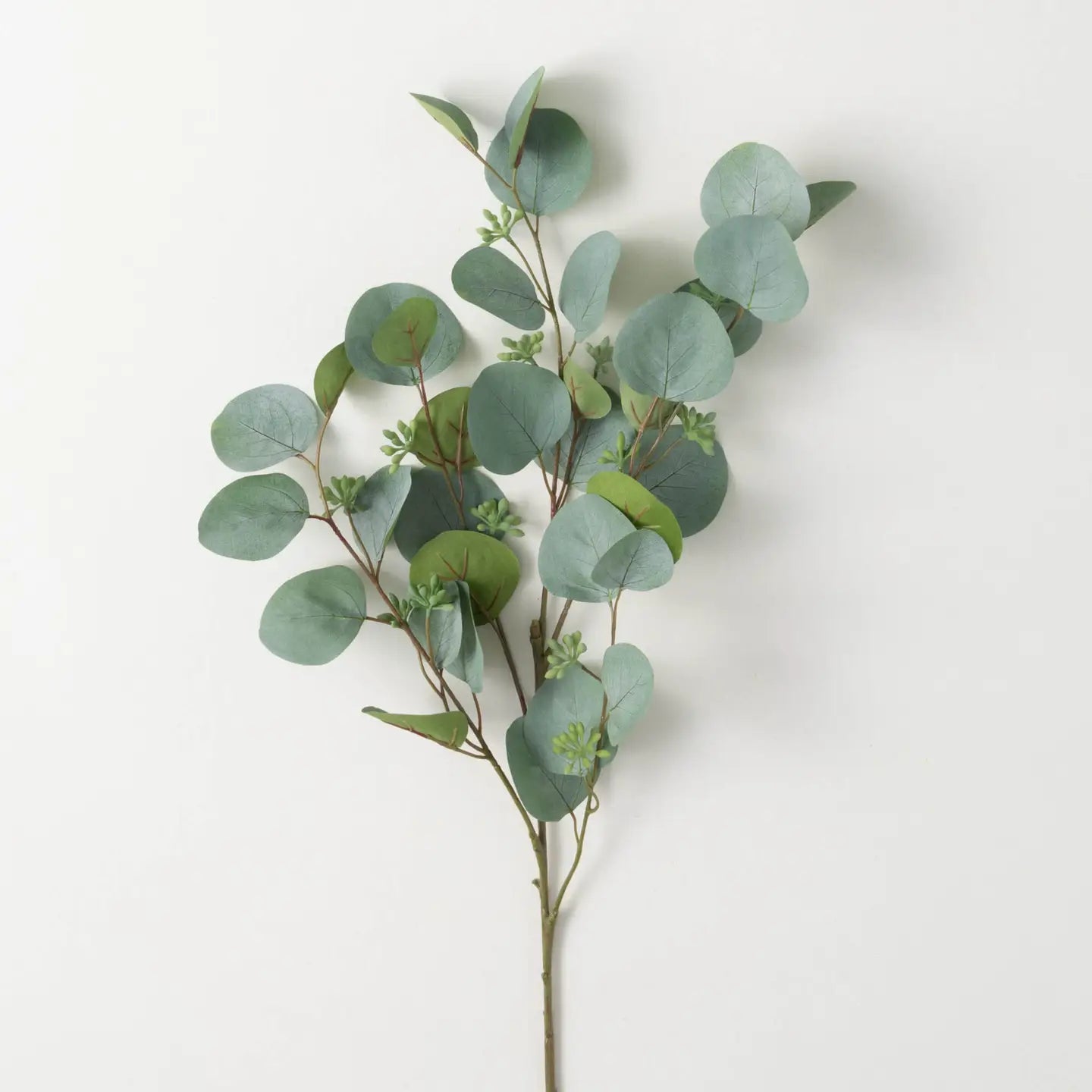 Silver Dollar Eucalyptus Spray