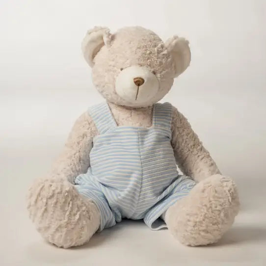 Stuffed Teddy Bear with Jumper