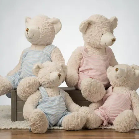 Stuffed Teddy Bear with Jumper