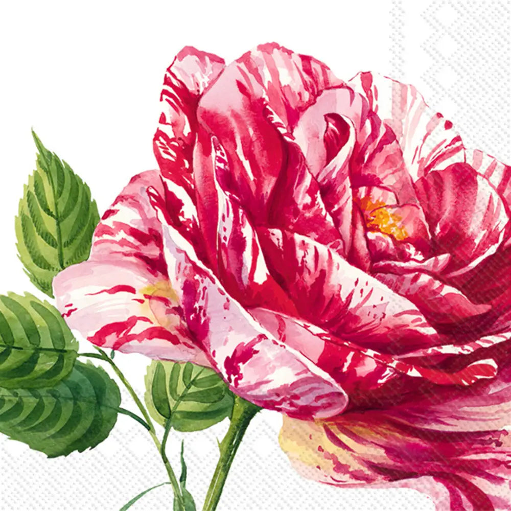 Charlotte Peony Cocktail Napkin