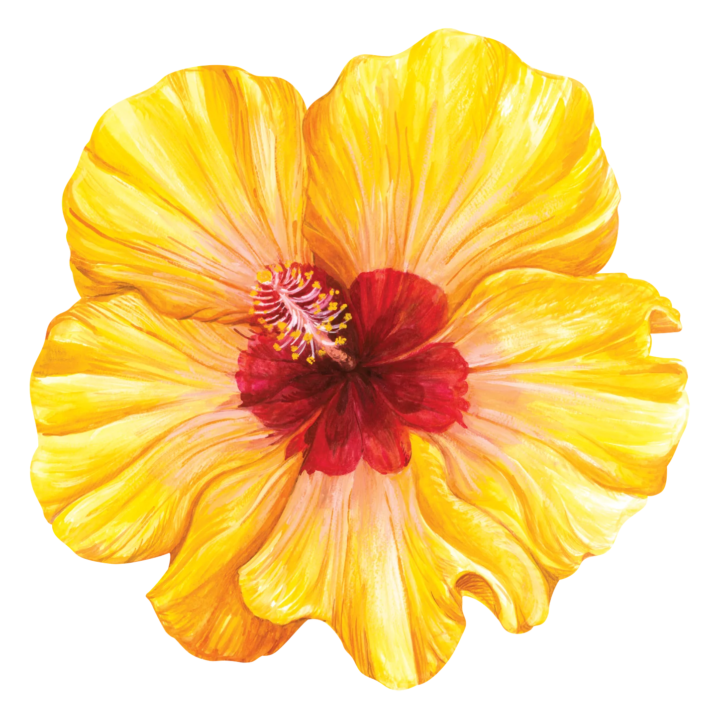 Hibiscus Die Cut Paper Placemats Set/12