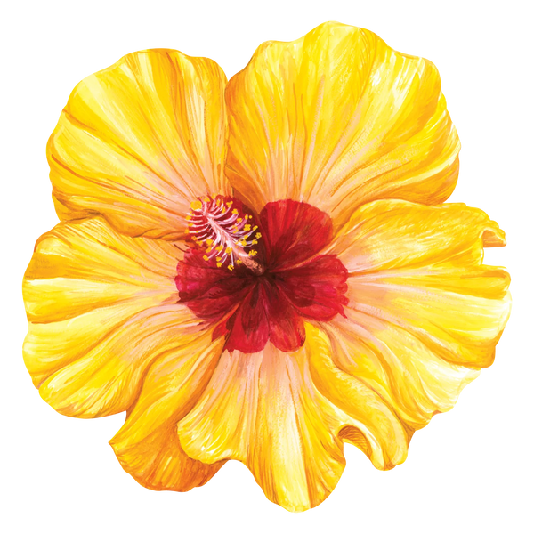 Hibiscus Die Cut Paper Placemats Set/12