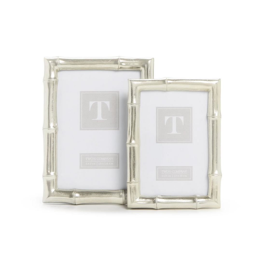 Silver Bamboo Photo Frame
