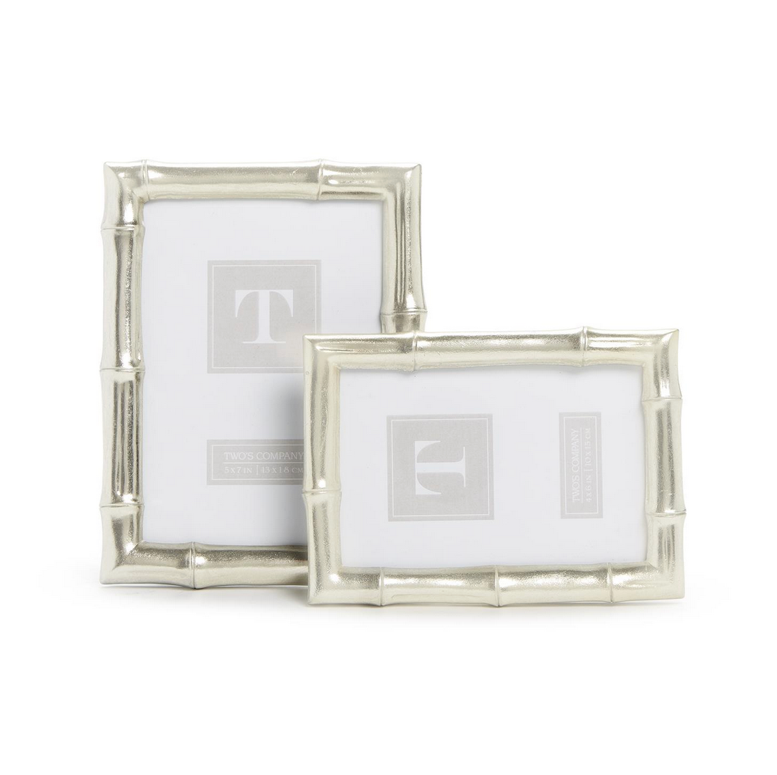 Silver Bamboo Photo Frame