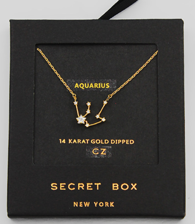 Dainty Zodiac Necklace