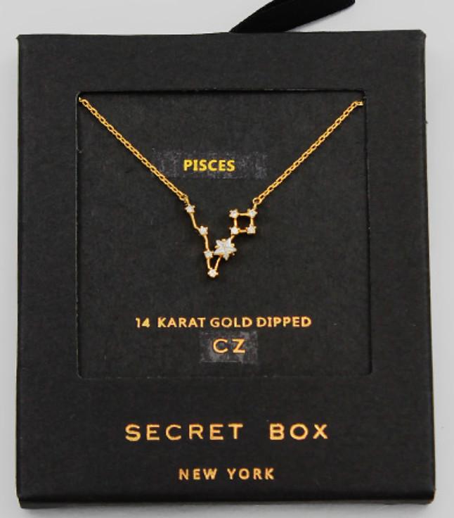 Dainty Zodiac Necklace