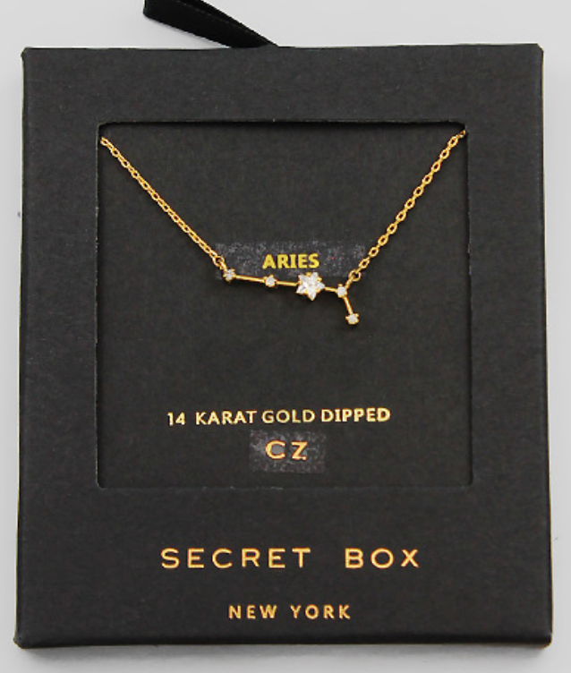 Dainty Zodiac Necklace