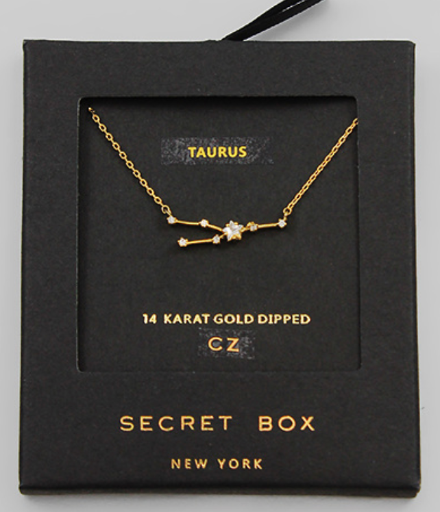 Dainty Zodiac Necklace