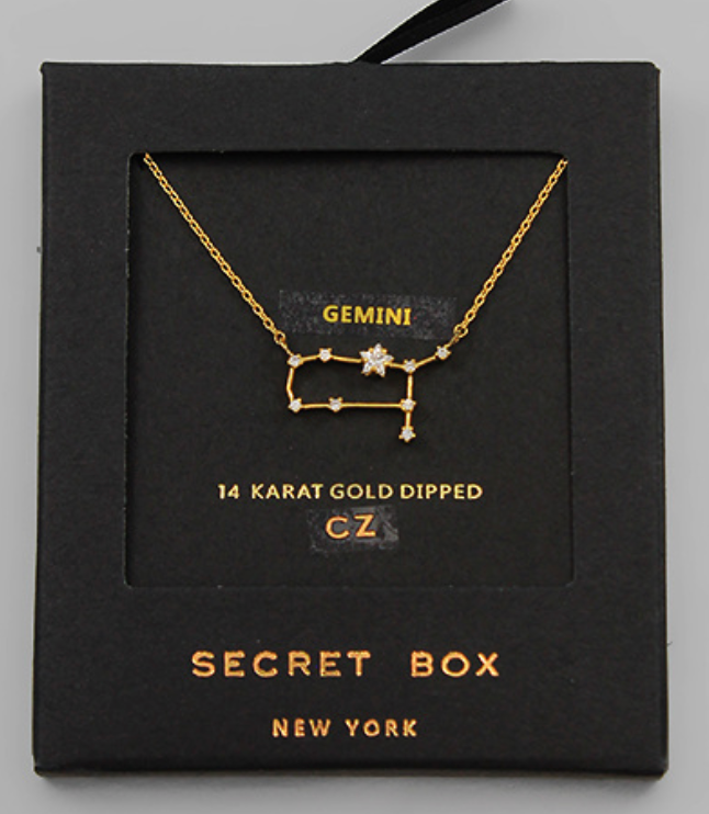 Dainty Zodiac Necklace