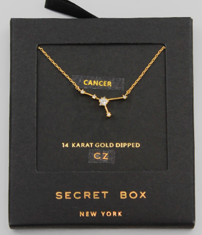 Dainty Zodiac Necklace