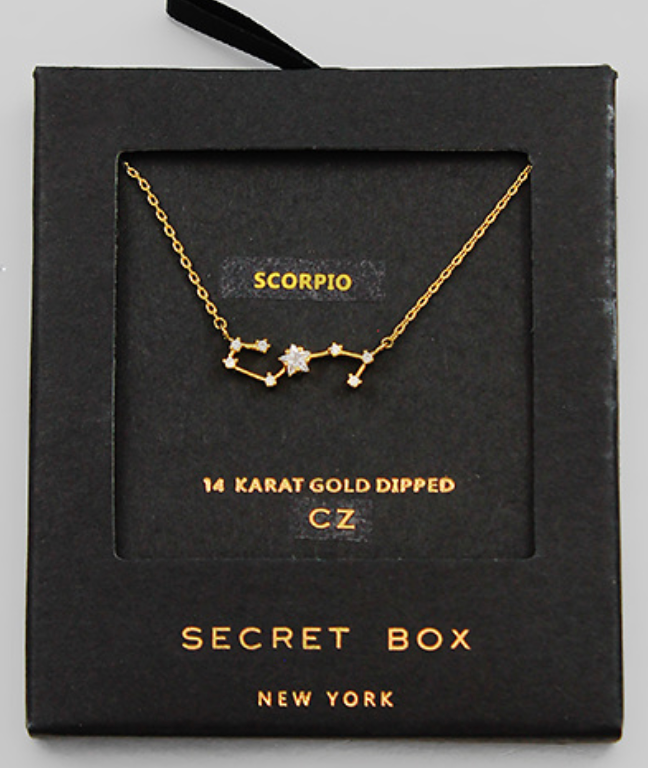 Dainty Zodiac Necklace