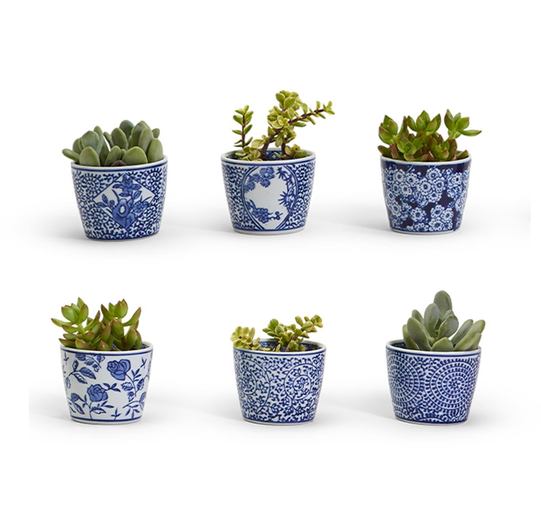 Small Blue & White Canton Cachepot