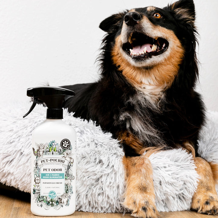 Pawsitively Pet Odor Fresh Room Spray