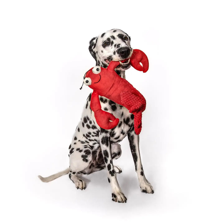 Large Floppy Lobster Dog Toy
