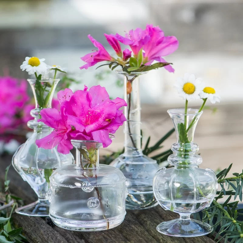 Miss Daisy Clear Vase