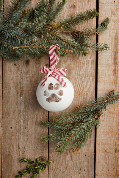 Pet Paw Print Christmas Ornament