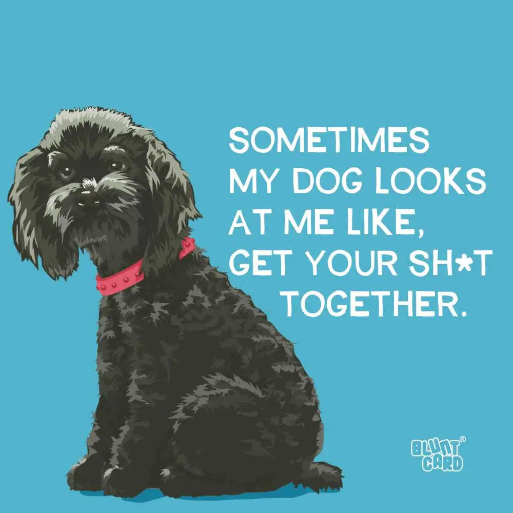 Sometimes My Dog Cocktail Napkin