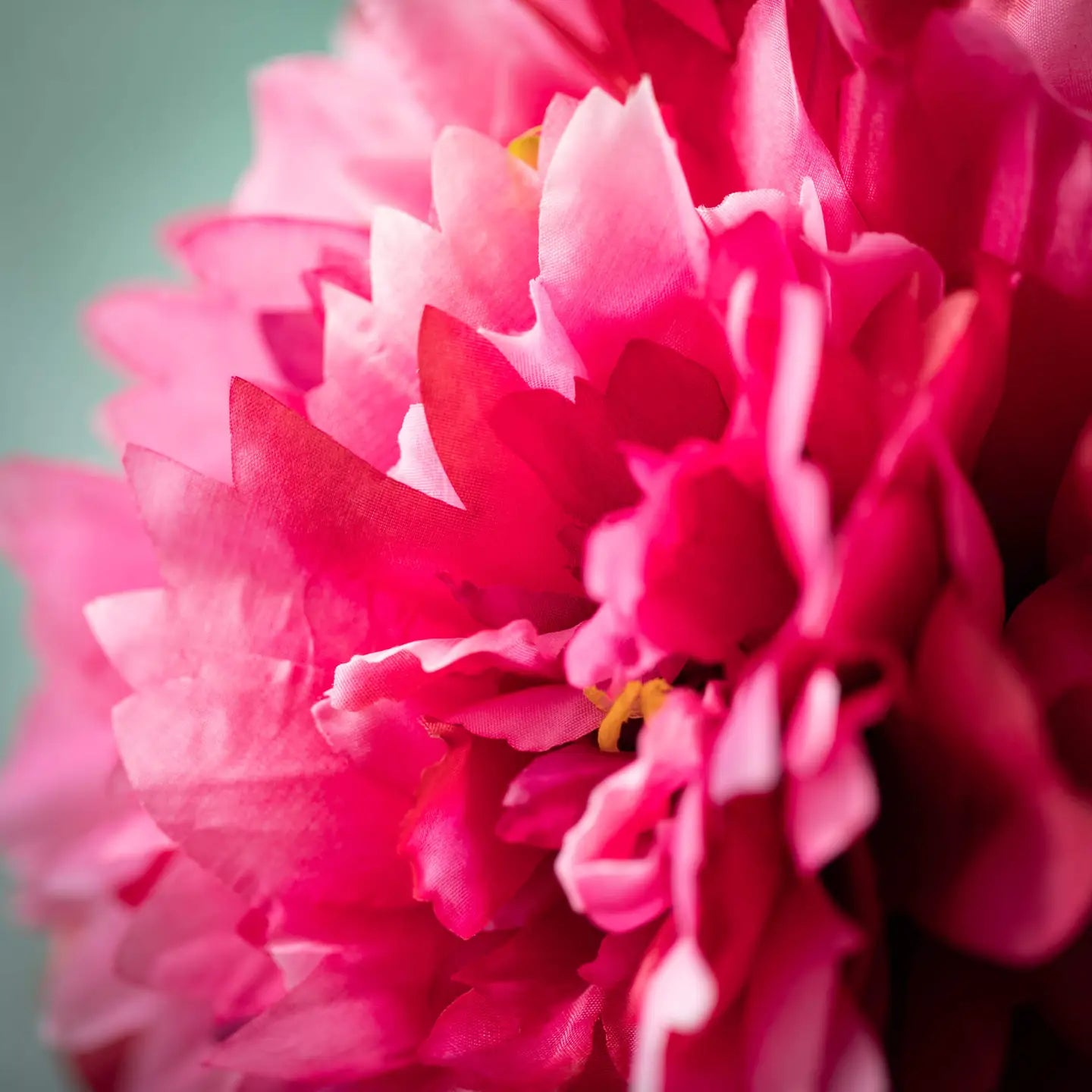 Dark Pink Faux Peony Stem