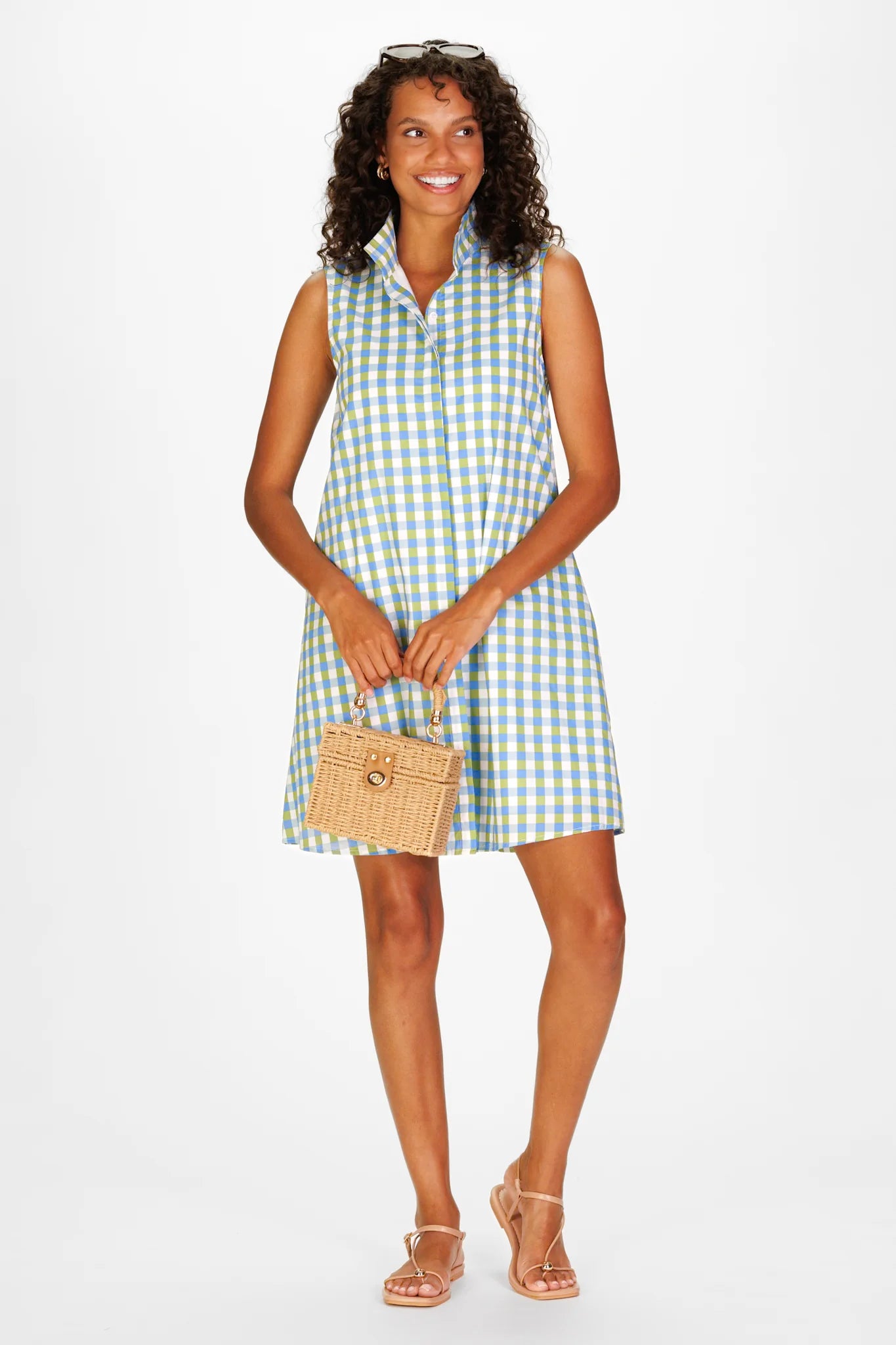 Jan Gingham Dress
