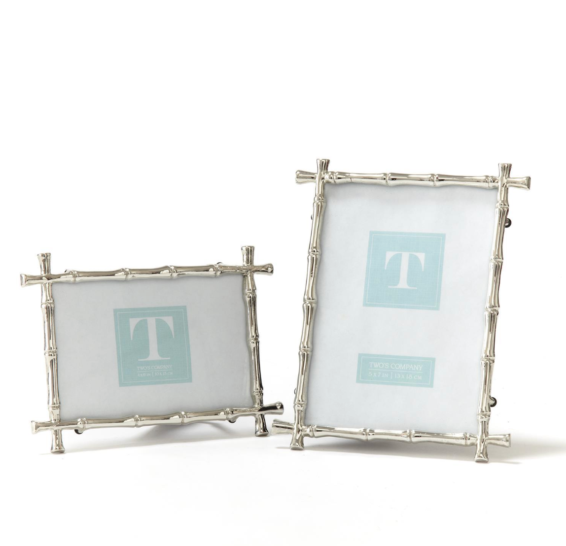 Silver Bamboo Photo Frame