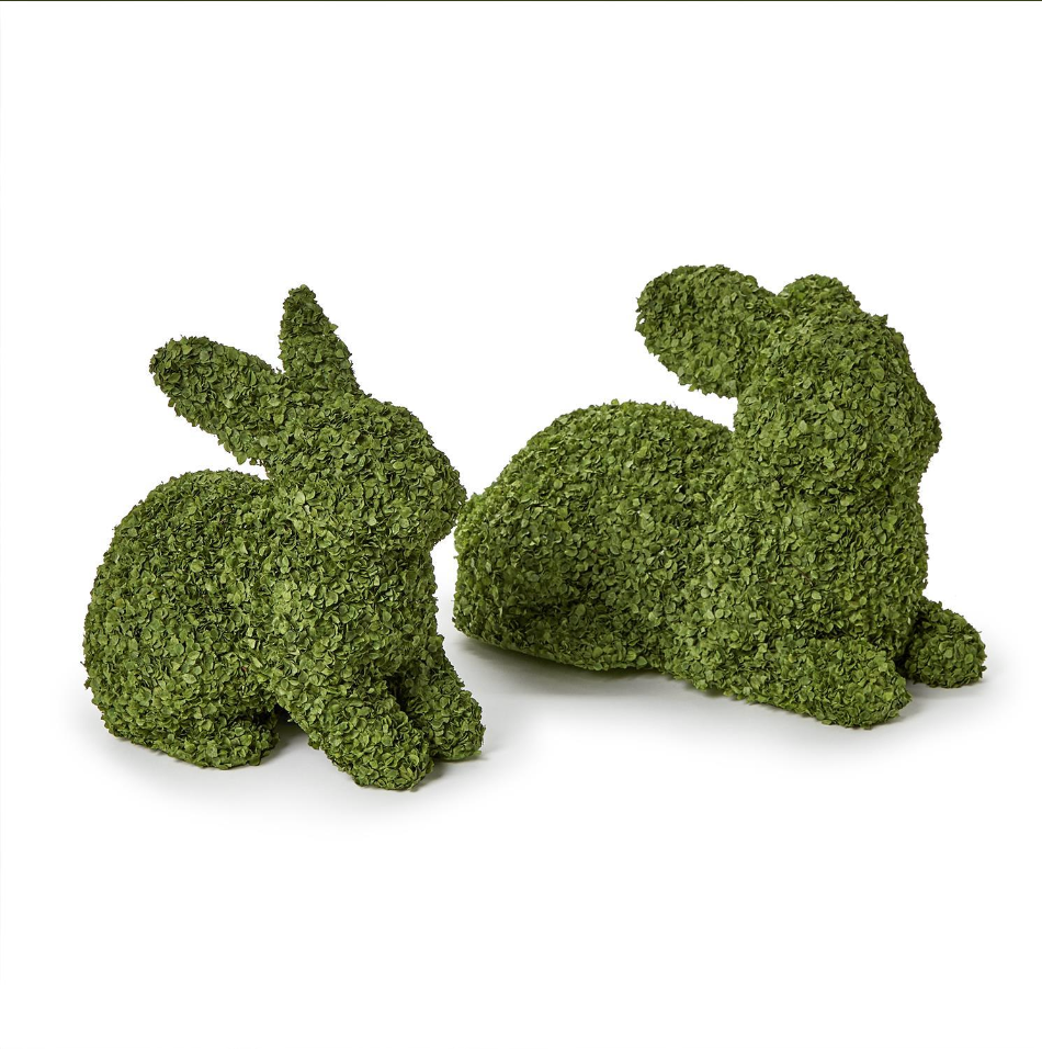 Preserved Green Bunny Decor