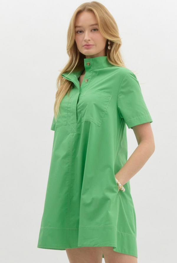 Janie Green A Line Shirt Dress