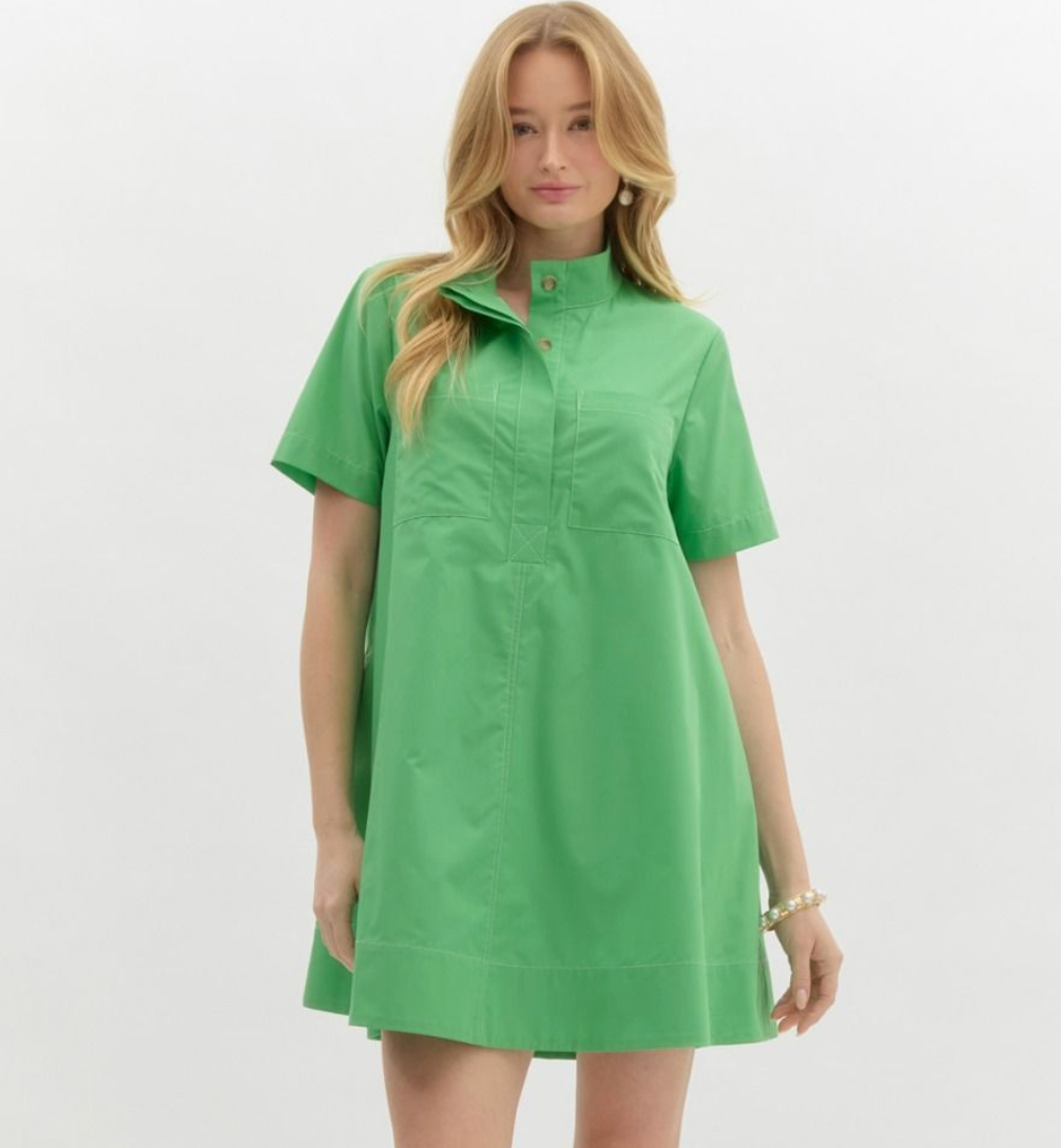 Janie Green A Line Shirt Dress