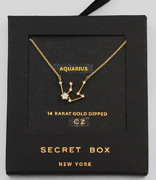 Dainty Zodiac Necklace