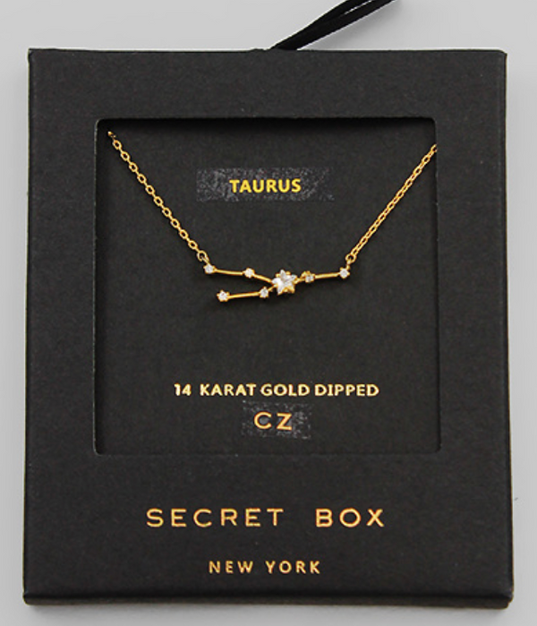 Dainty Zodiac Necklace