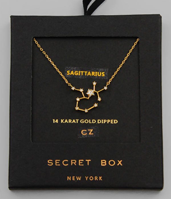 Dainty Zodiac Necklace