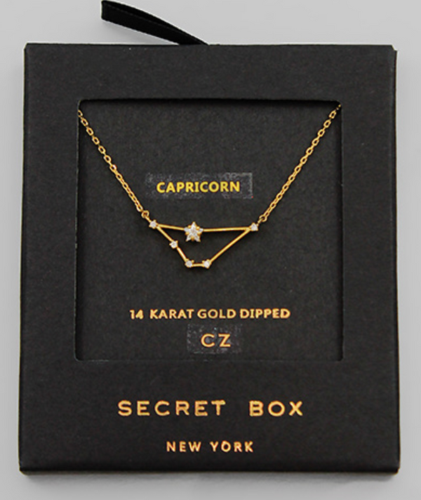 Dainty Zodiac Necklace