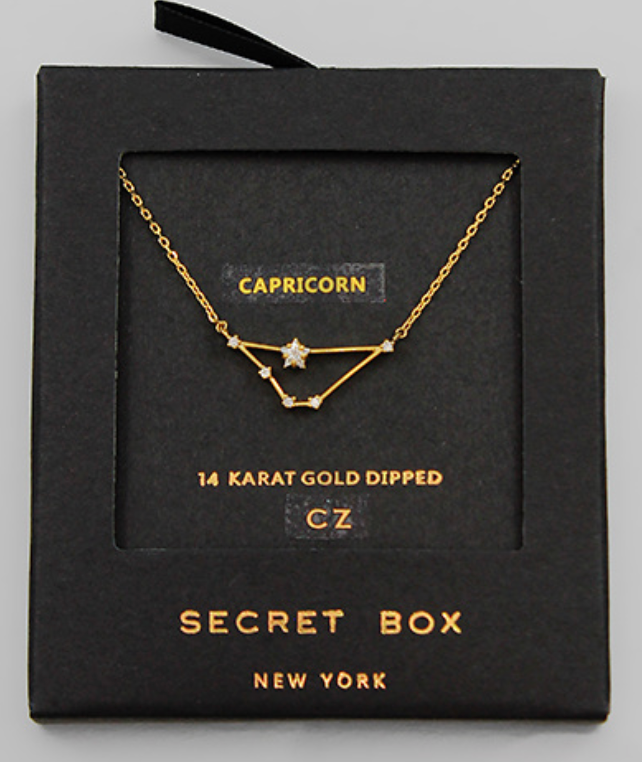 Dainty Zodiac Necklace