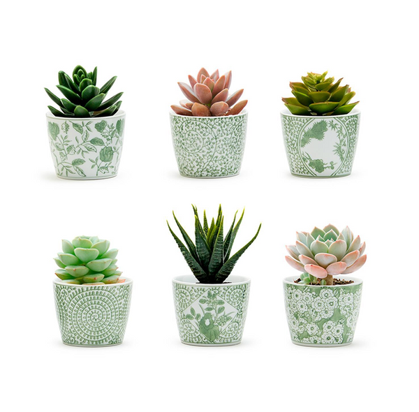 Small Green & White Canton Cachepot