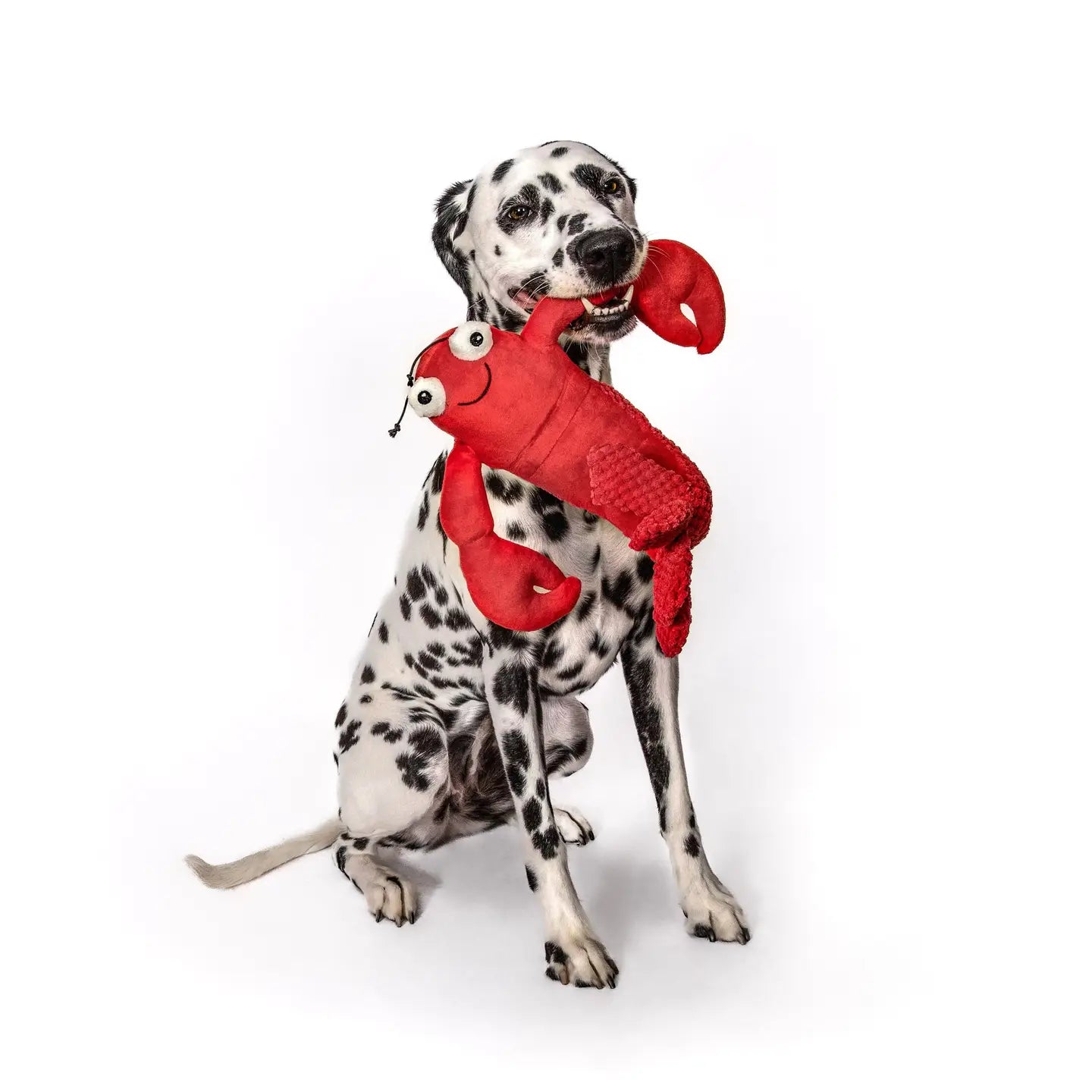 Large Floppy Lobster Dog Toy