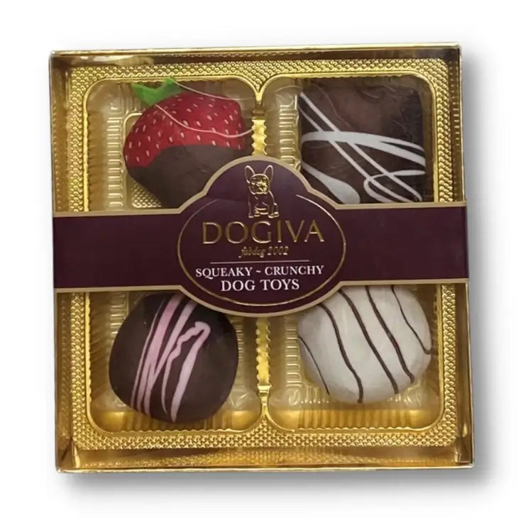 Dogiva Box of Chocolates Dog Toys