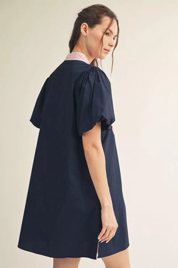 Shay Navy & Pink Banded Applique Dress