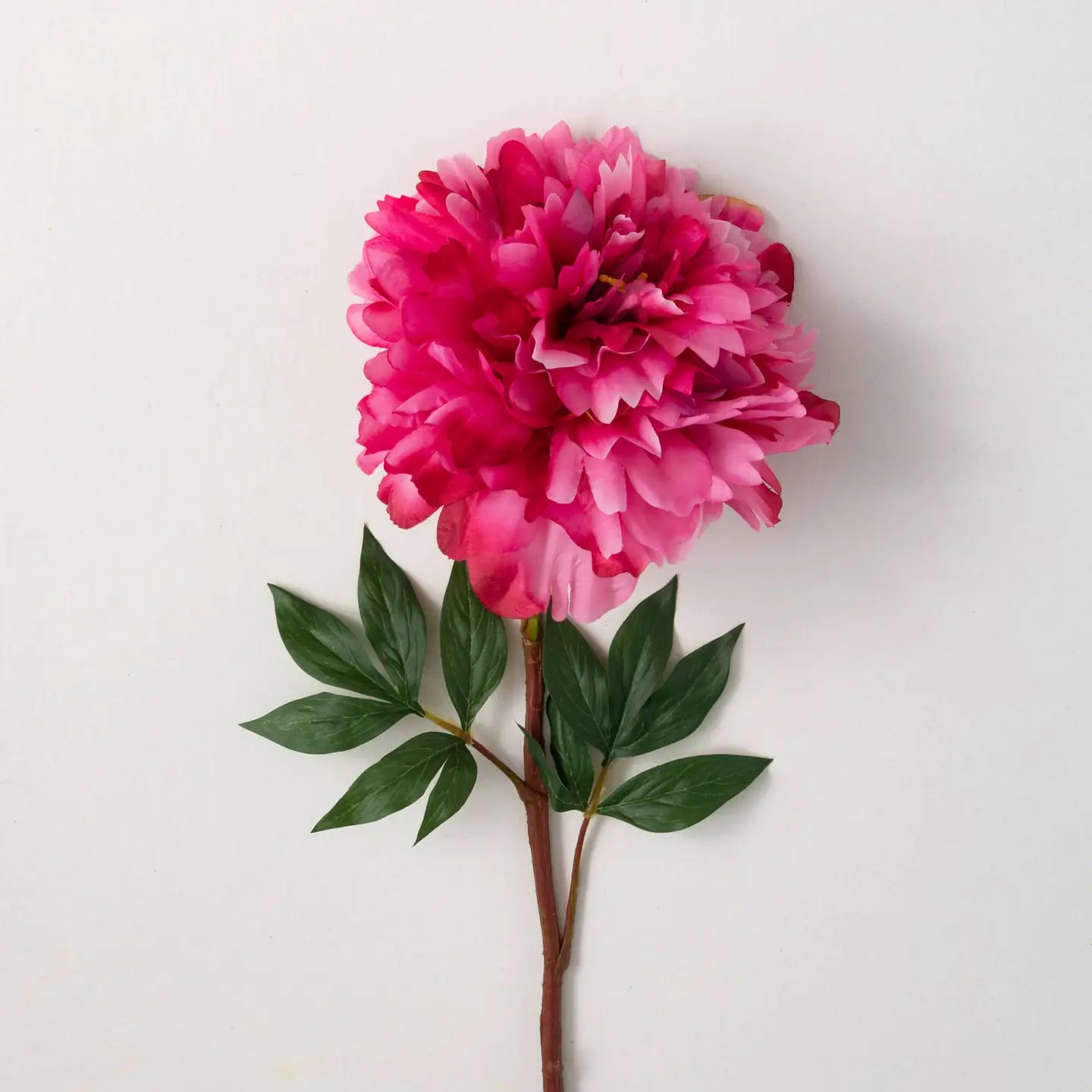 Dark Pink Faux Peony Stem